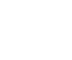 Wernberg & Partners logo - licensing advisory partner